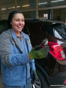 Gefiederter Besuch im Autohaus