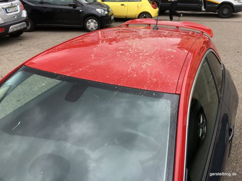 Marderspuren auf dem Autodach