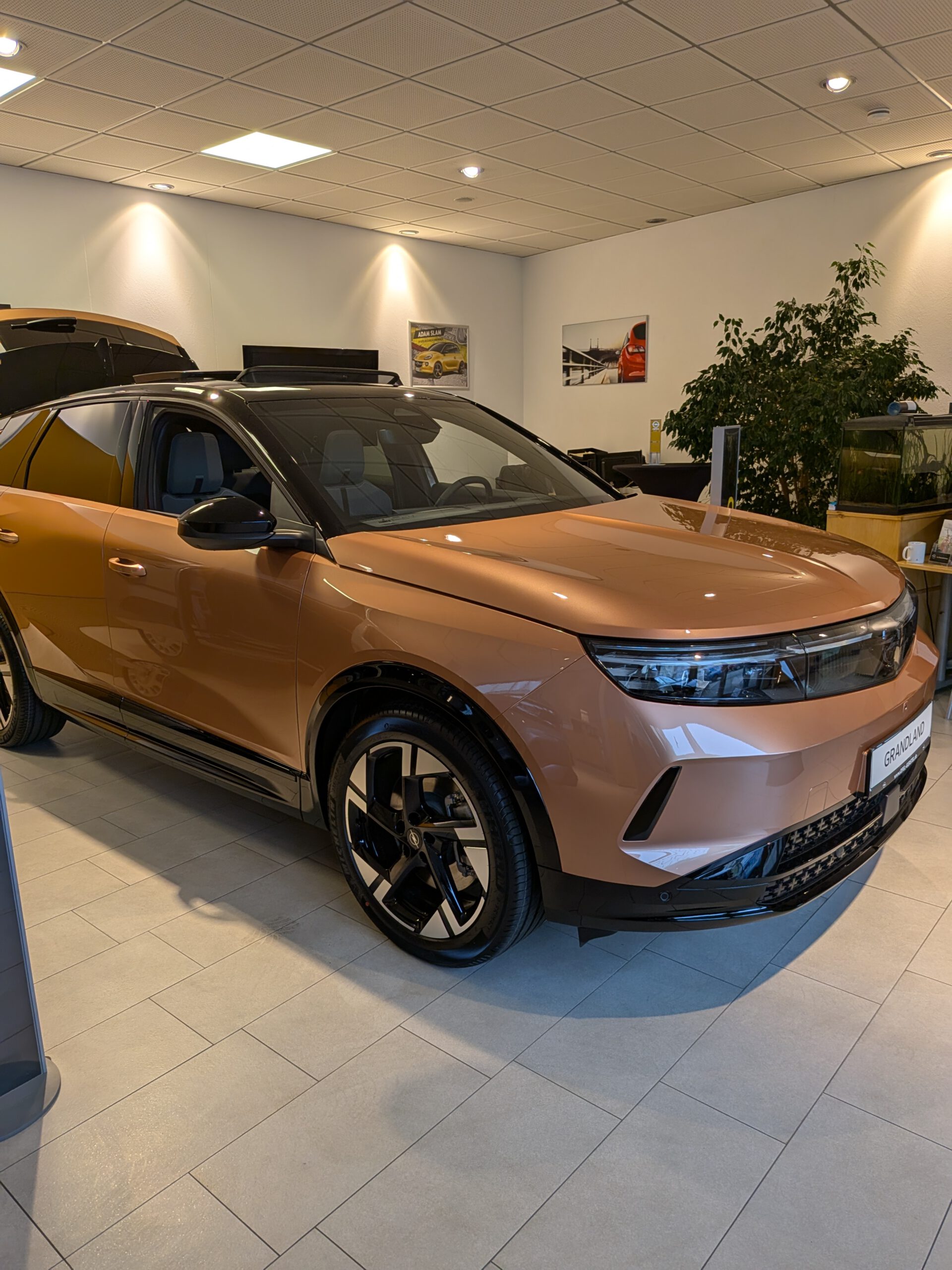 Wunderbar Wir Fahren Opel De Fotosnull